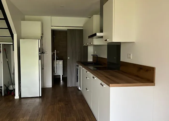 Le Sailhet, Maison De *